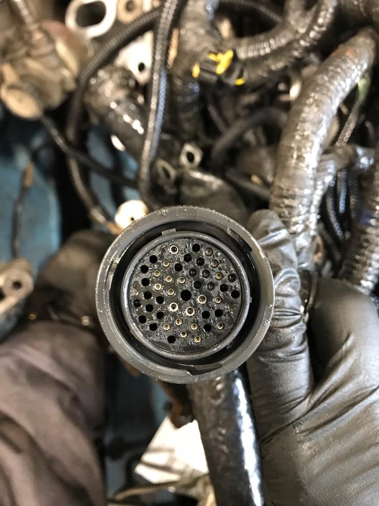 International MAXXFORCE 13 Engine Wiring Harness | Payless Truck Parts