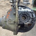 2009 Freightliner Columbia Differential Assembly (Rear, Rear)